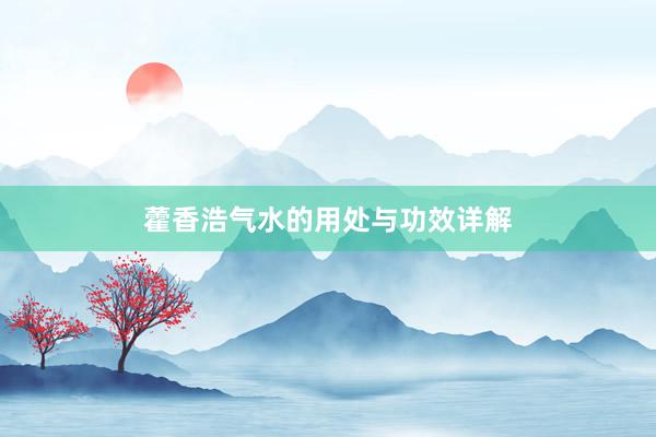 藿香浩气水的用处与功效详解